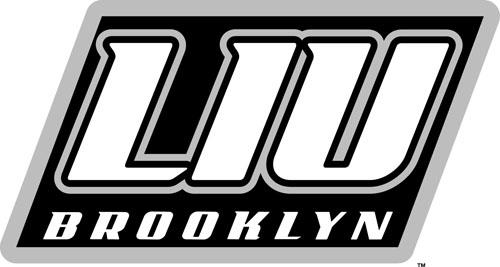 LIU-Brooklyn Blackbirds 2008-Pres Alternate Logo t shirts DIY iron ons v2